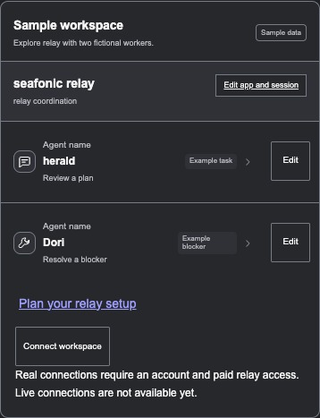Development relay sample workspace with two fictional agents, local edit controls, a setup plan link and an unavailable Connect workspace button.